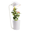 White desktop hydroponic container for soilless plant cultivation
