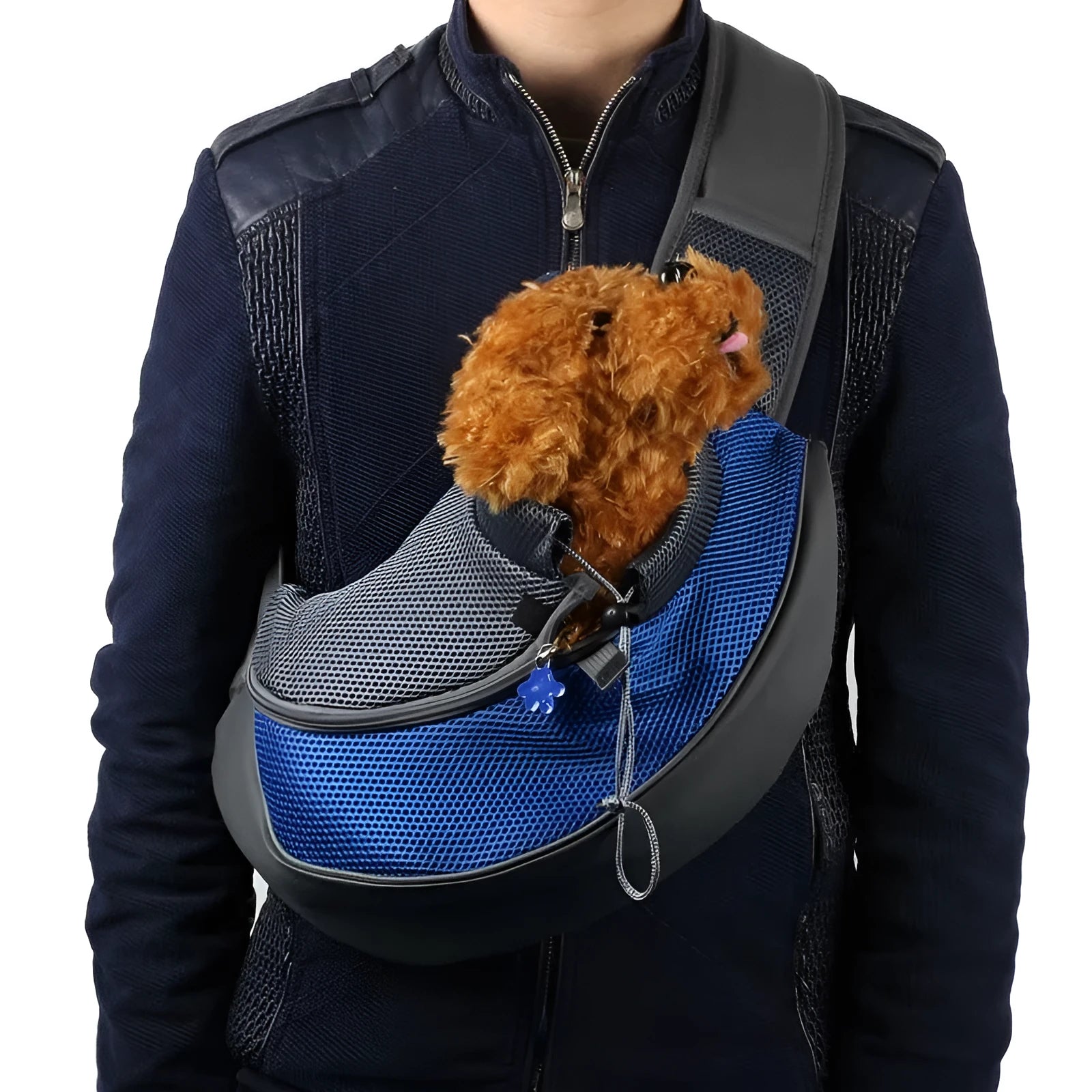 Blue pet backpack for small dogs showing size dimensions and carrying straps.