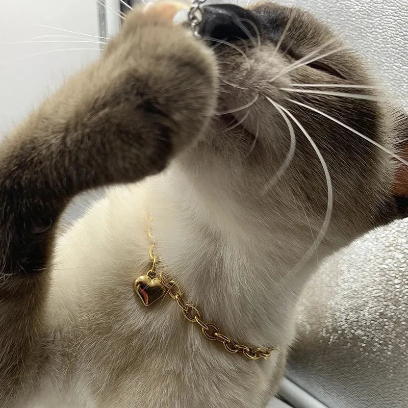 Stainless steel necklace with love heart pendant and cat dog charm in gold or silver finish