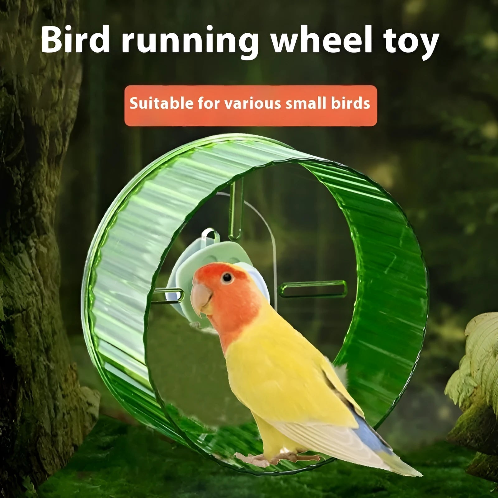 A plastic parrot exercise running wheel toy shown in a transparent colour on a white background.