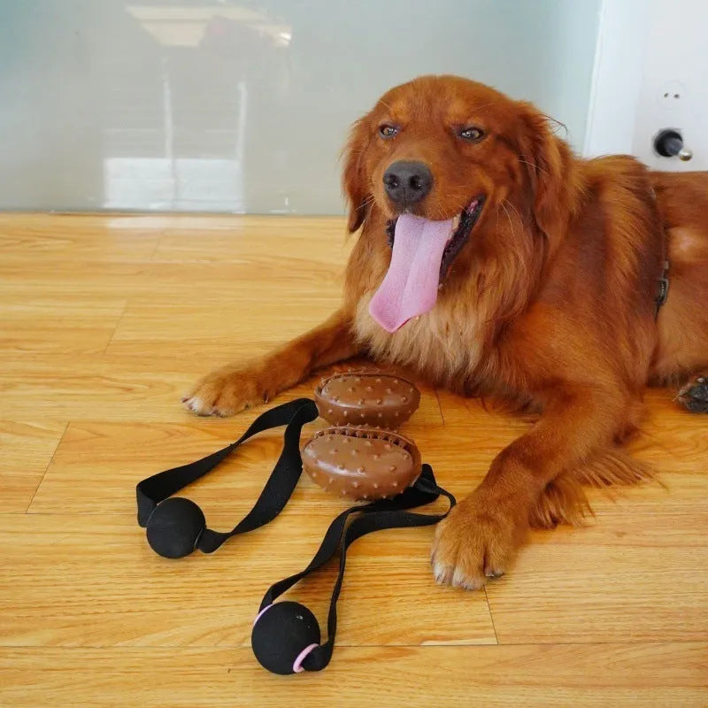 Coffee coloured, bean-shaped TPR dog chew toy with rope knots and a treat-holding cavity.