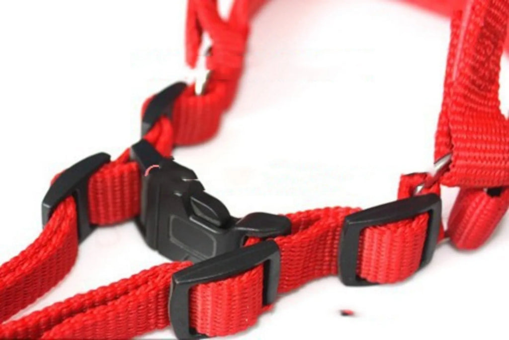 Nylon pet harness with polypropylene foam lining in blue, black, or red colours