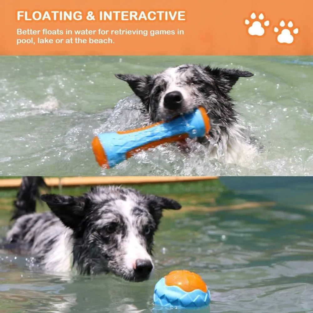 Set of four floating TPR dog toys: a ball, a barbell, and two tires with bumpy textures.