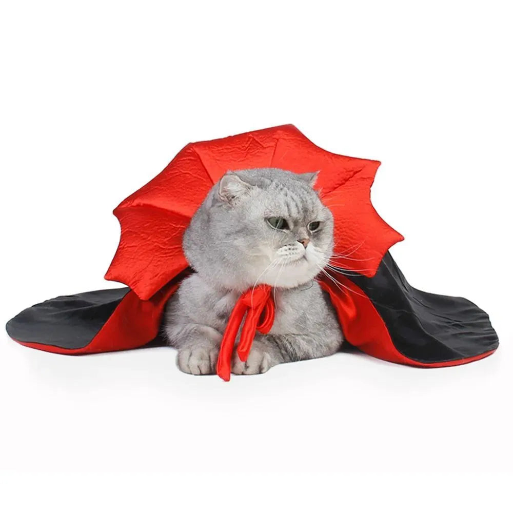 Small dog wearing black vampire cloak Halloween costume with three size options displayed