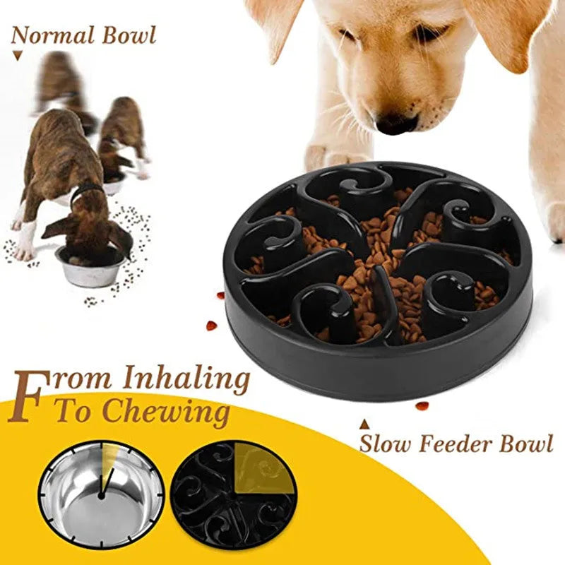A coloured slow feeder dog bowl with a maze pattern inside and a wide non-slip base.