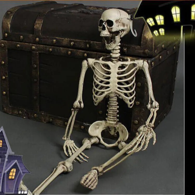 Full-size 170cm tall plastic skeleton prop for Halloween and event decoration