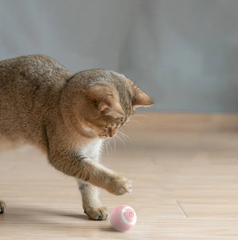 Blue rechargeable automatic moving cat toy ball with silicone construction