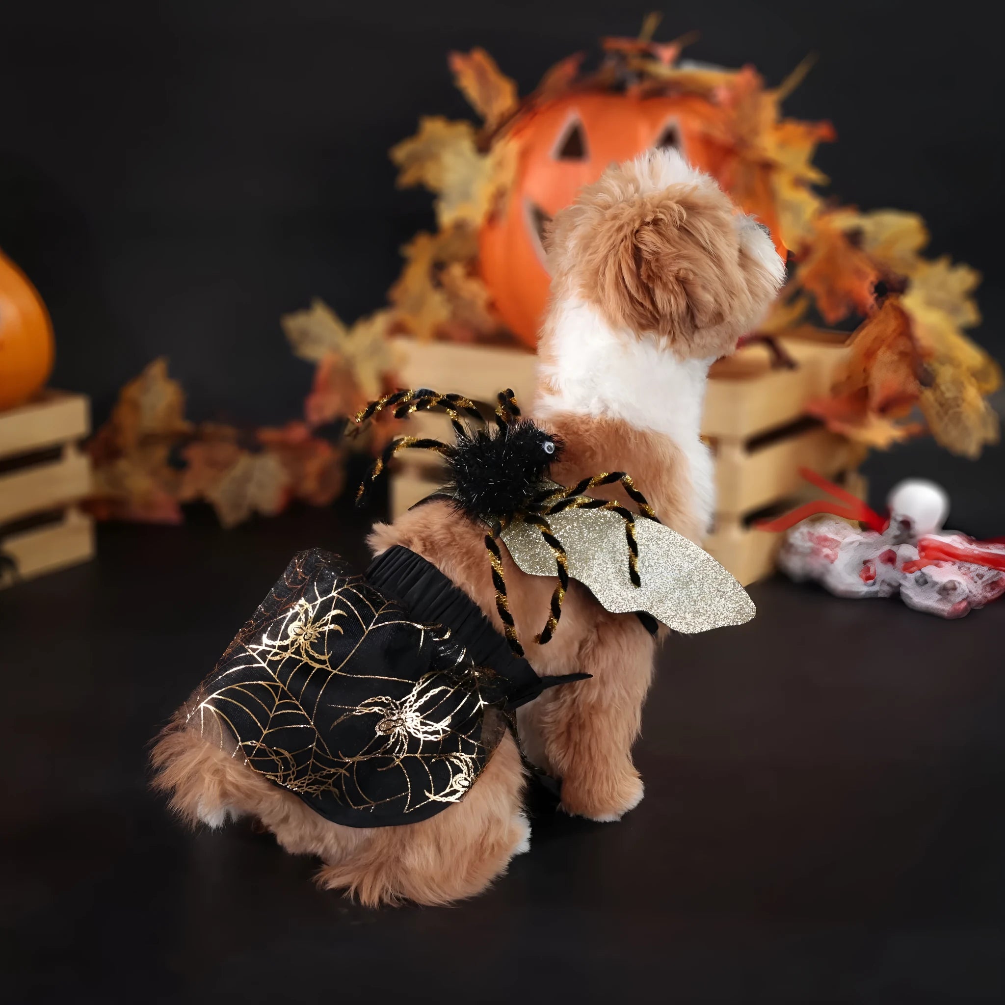Polyester dog halloween suit costume in coordinated colour with S M L XL size options