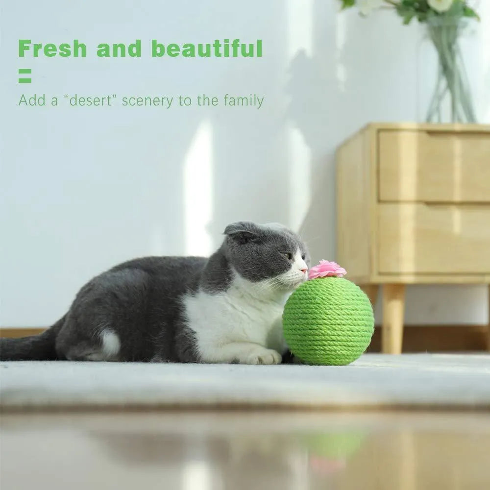 Green cactus-shaped cat toy with a sisal scratching post and a rocking tumbler ball on a weighted base.