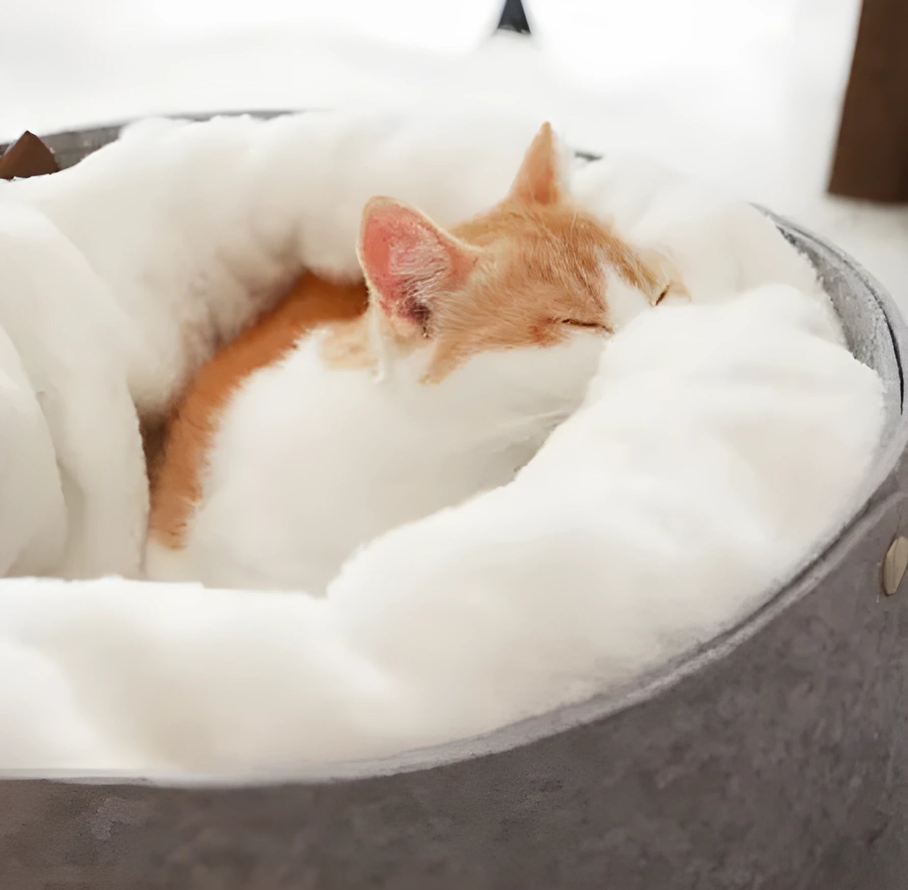 Pet bed with detachable nest, wind-resistant outer shell, size S 28x28x23 cm, suitable for cats up to 8 kg