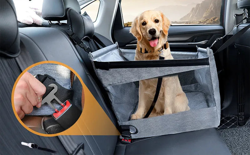 Black Oxford cloth collapsible pet crate for dogs, shown with measurements 49cm by 49cm by 38cm.