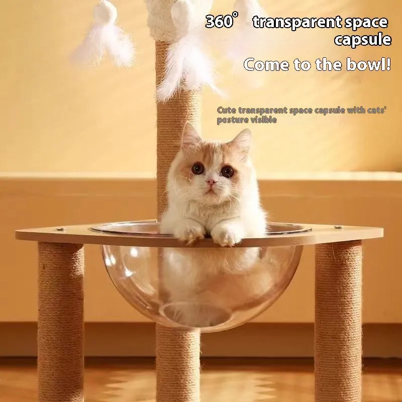 Wooden cat climbing frame with space capsule hideaway in wood colour finish