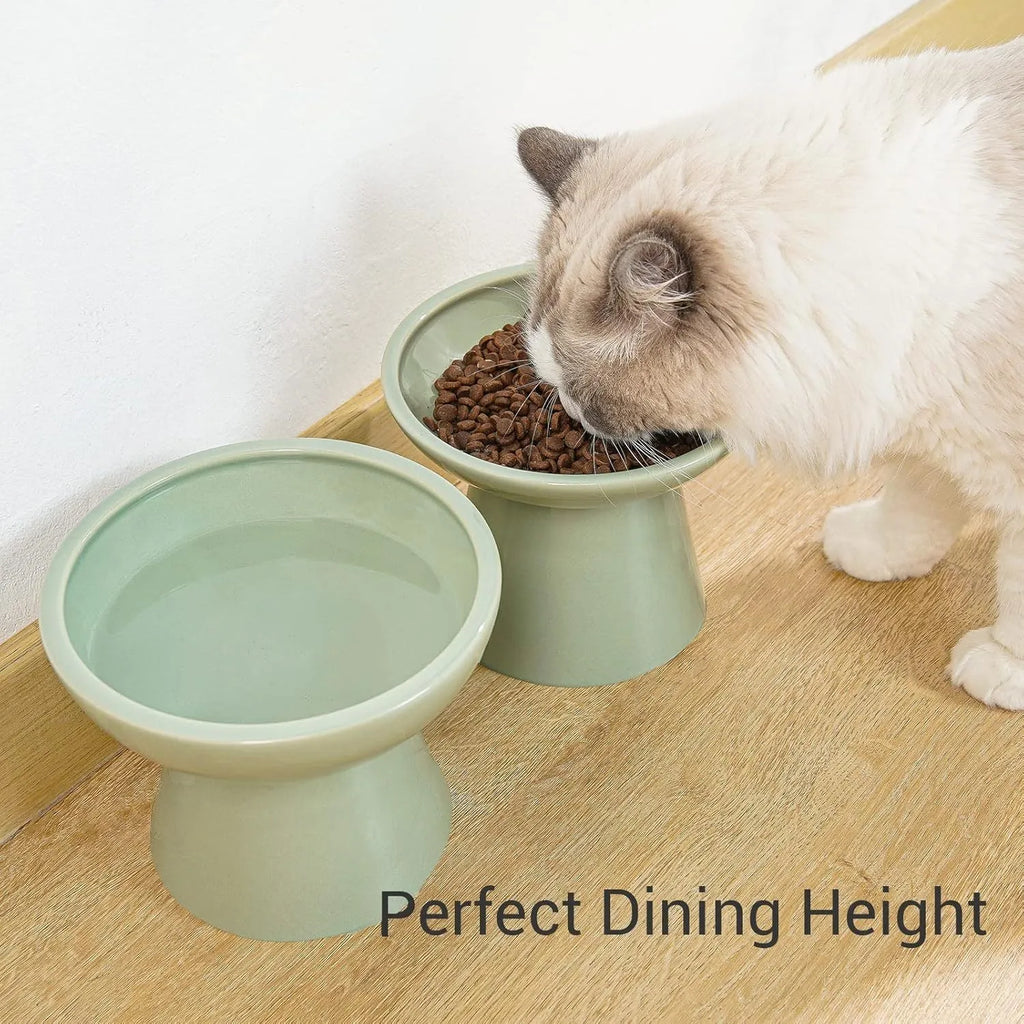 Blue ceramic elevated cat bowl with wide shallow design for food or water