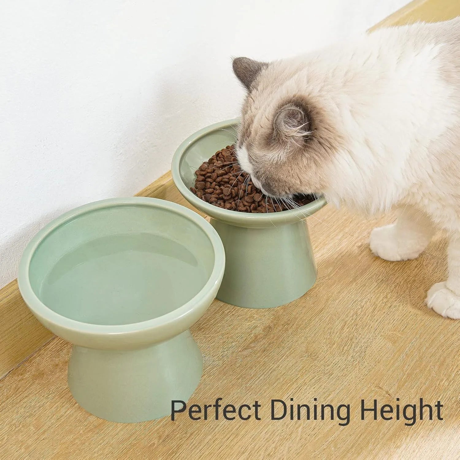 Blue ceramic elevated cat bowl with wide shallow design for food or water