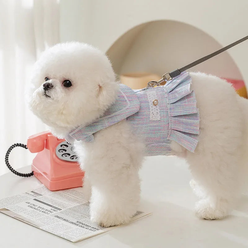 Polyester pet clothing for small dogs and cats in Salem purple and pink colours in S, M, L, XL sizes