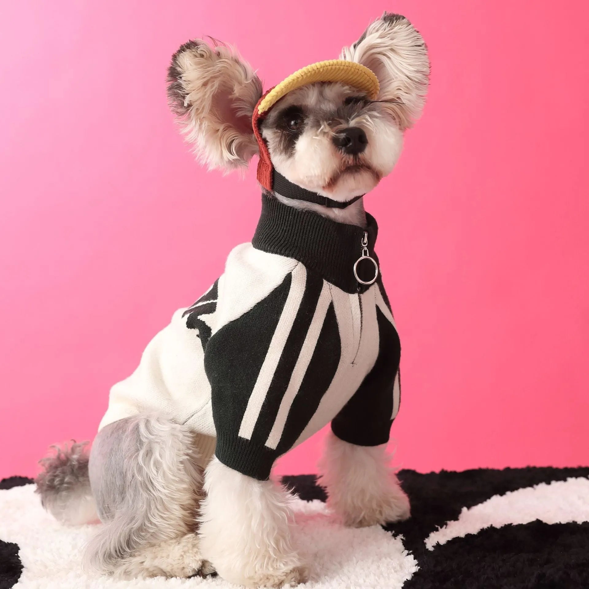 Wool dog sports cardigan sweater in dark green or red on canine model