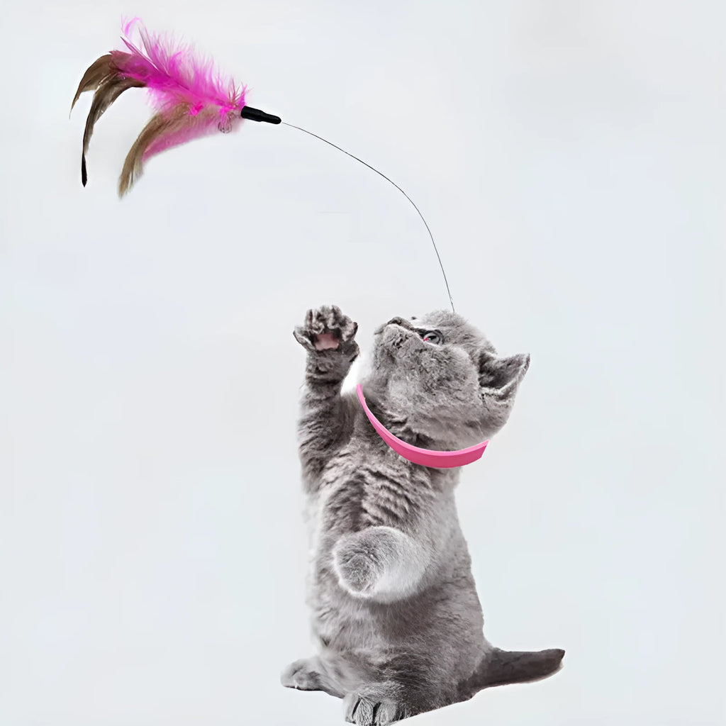 Adjustable cat collar toy with silicone teaser wand and feather charm attached