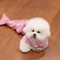Blue pet mermaid costume with fish tail and elastic chest strap on small dog