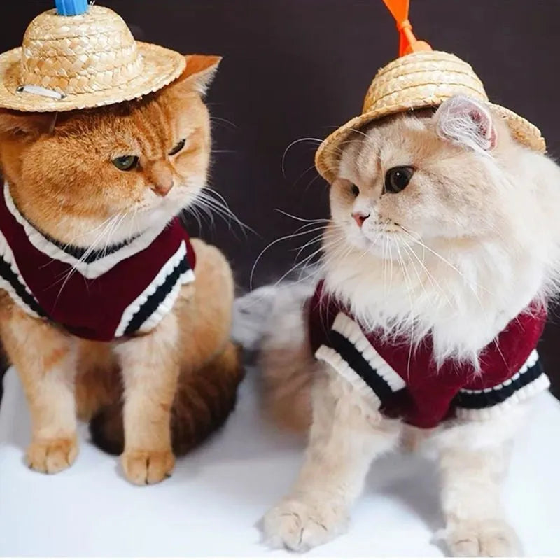 Cat wearing silver gradual layer winter clothes in blue duck colour with weight-based sizing