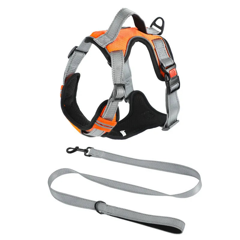 Polyester dog chest back harness with hand holding rope in various colours on size chart.