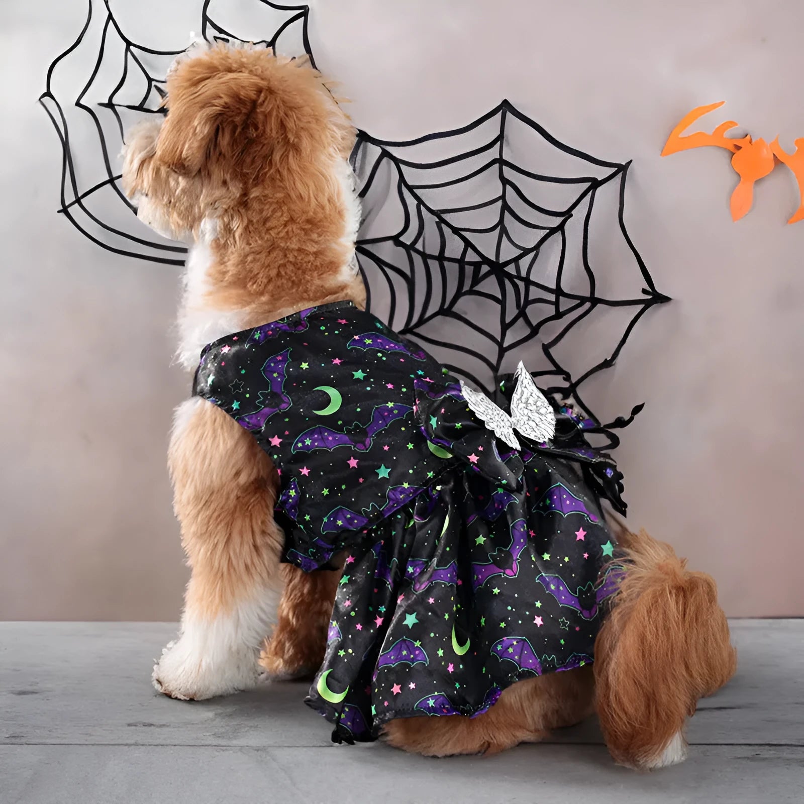 Halloween dog costume with angel wings in bright pumpkin or bat pattern for pet dress-up