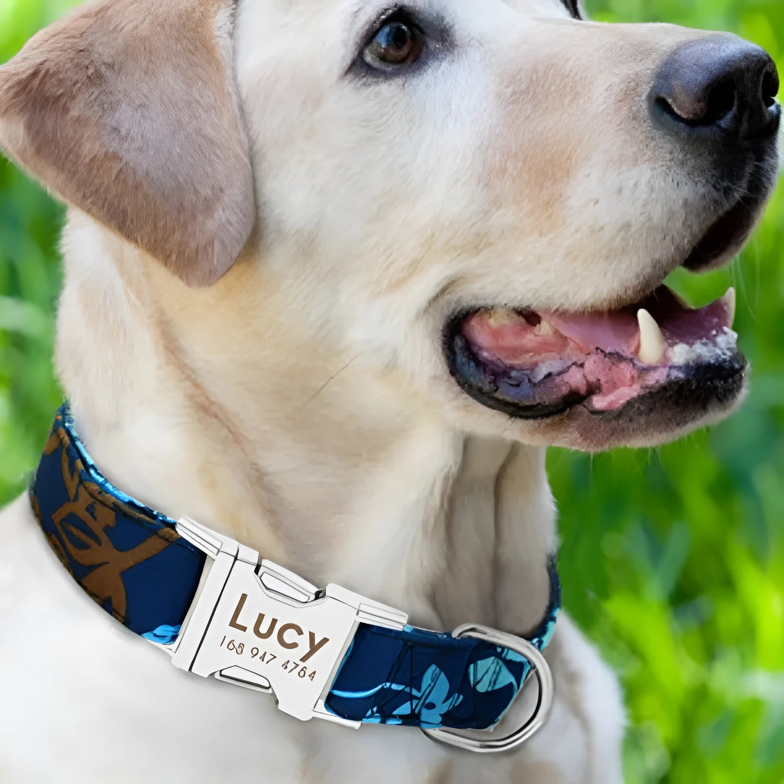 A woven nylon dog collar with a metal buckle, shown in black, green, and rose red colour options.