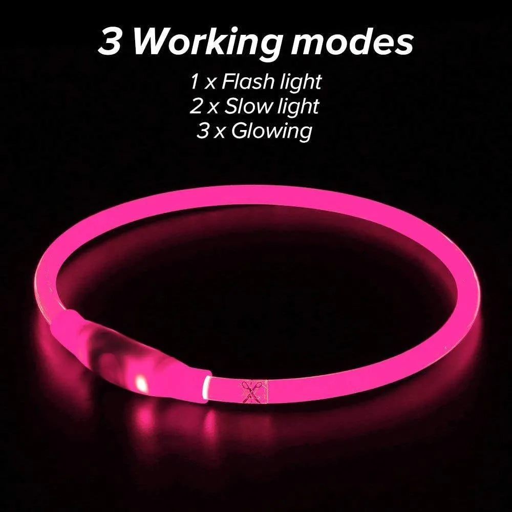 USB rechargeable LED dog collar glowing blue with adjustable TPU strap and ABS light housing