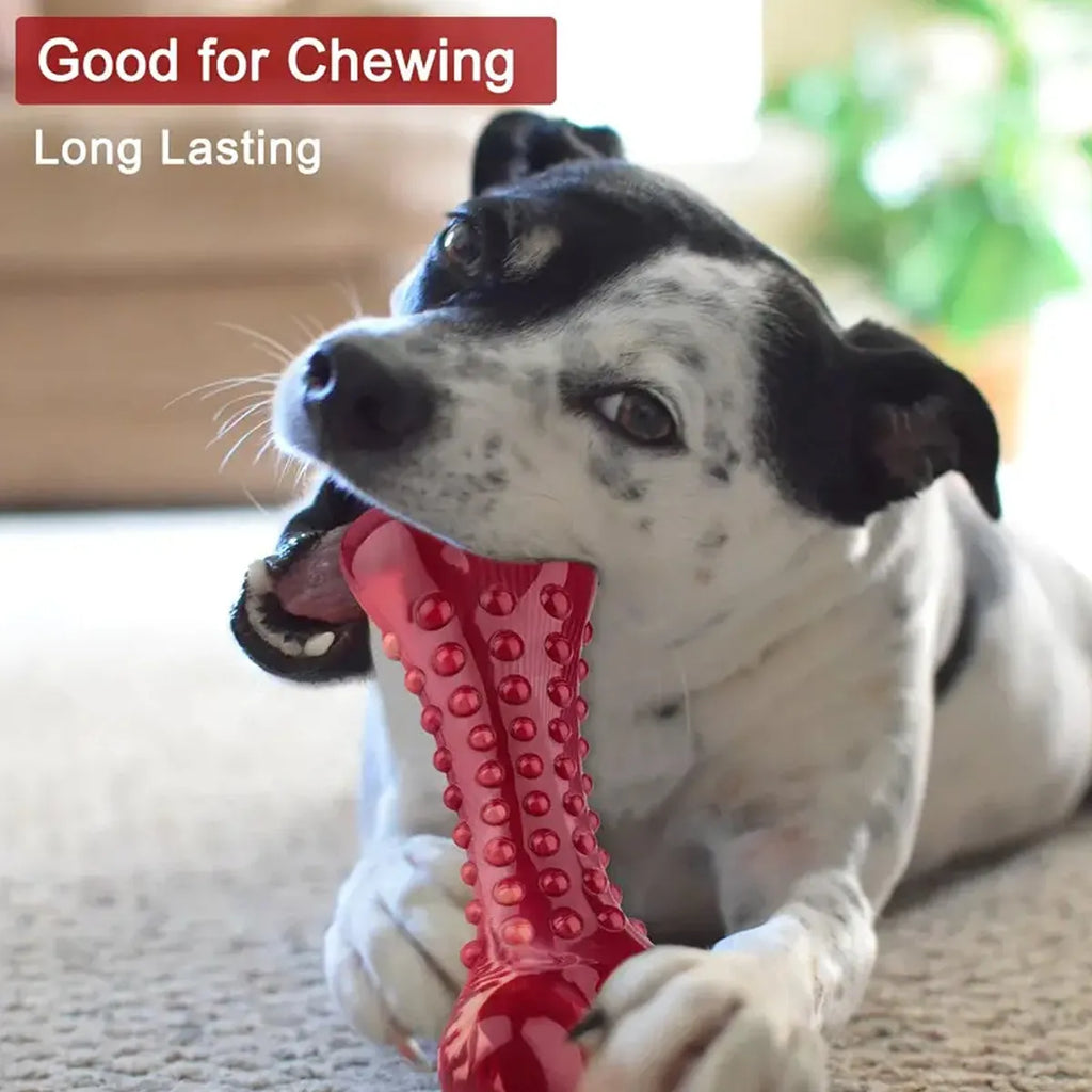 Red natural rubber chew toy for aggressive dogs measuring 4 inches in length