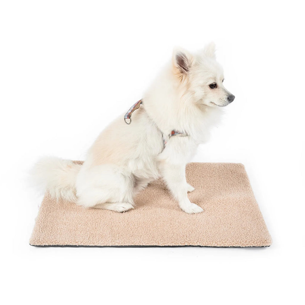 Self-heating plush pet pad for cats available in three colours and two sizes