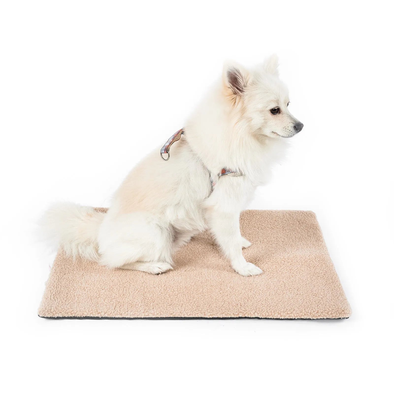 Self-heating plush pet pad for cats available in three colours and two sizes