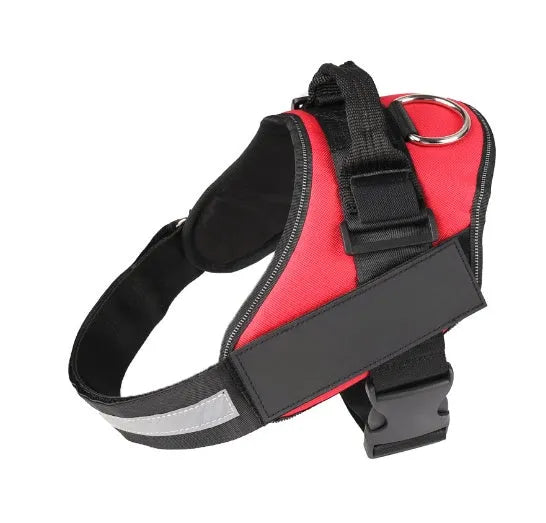 Adjustable dog harness with a mesh-padded vest in multiple colours, shown on a dog.