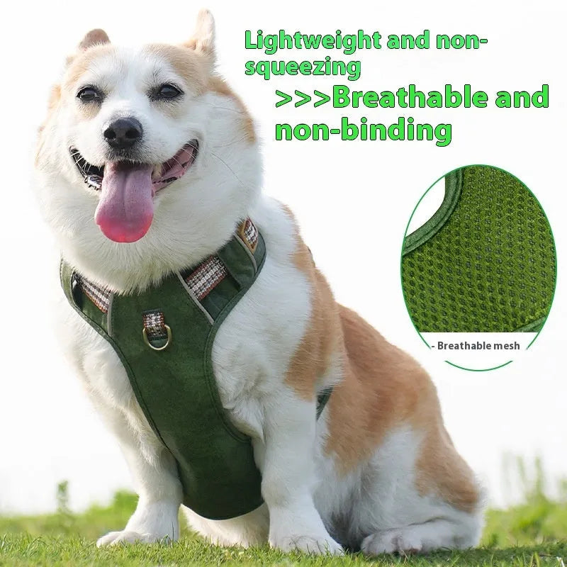 Retro-style brown leather pet harness with reflective strips on a dog.