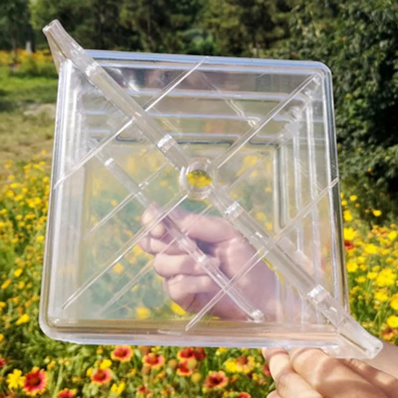 Square plastic watermelon growth mould measuring 13x13x13cm for shaping fruit