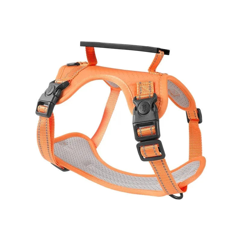 A dog wearing a blue adjustable chest harness with an attached lead, shown in a size large.