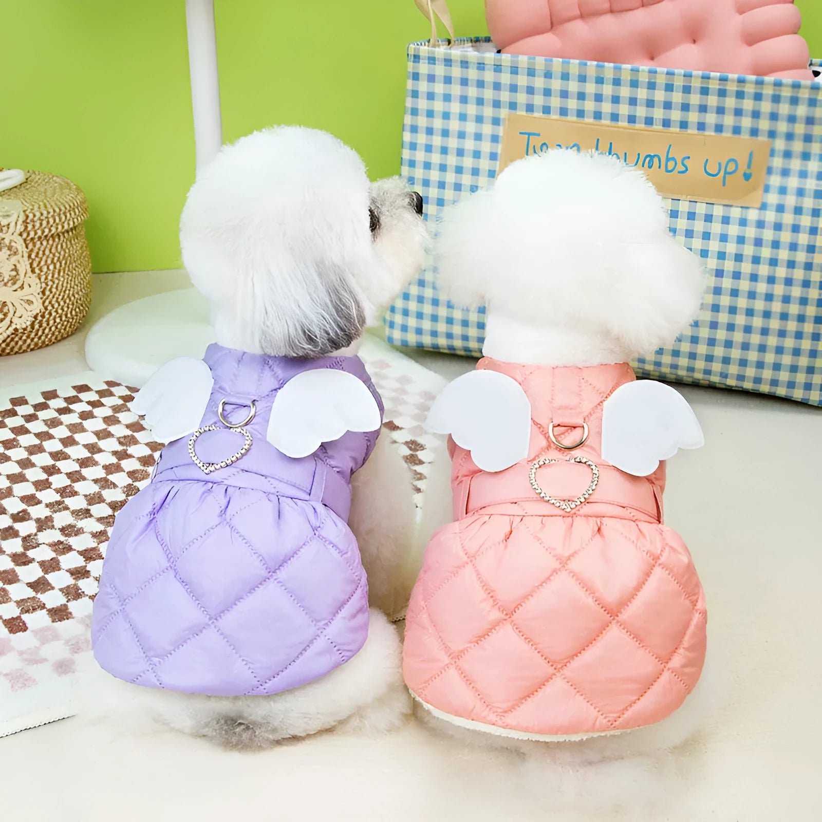 Small dog wearing pink angel design skirt with adjustable belly strap