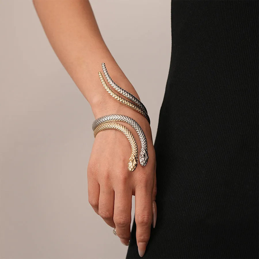 Exaggerated twisted winding snake simulation metal ring and bracelet 2-piece jewellery set