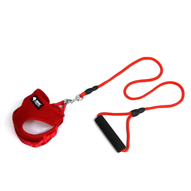 Blue dog leash and collar set with foam-padded handle for small dogs.