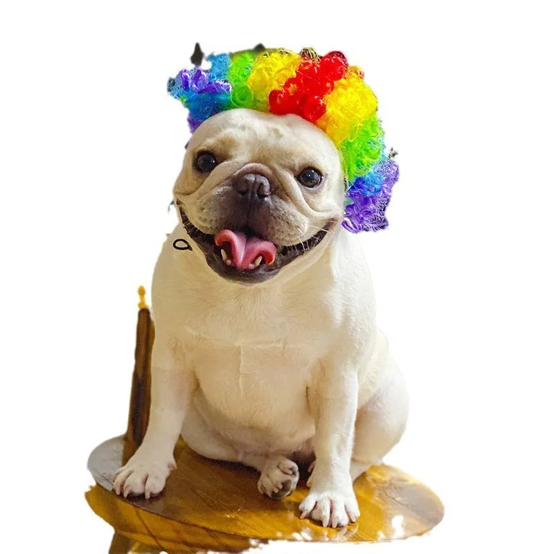 Adjustable pet wig headdress sheath in nylon fibre for 30-60cm head sizes, shown in Afro style