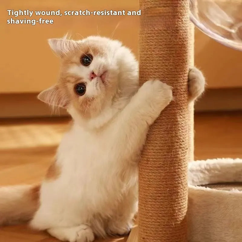 Wooden cat climbing frame with space capsule hideaway in wood colour finish