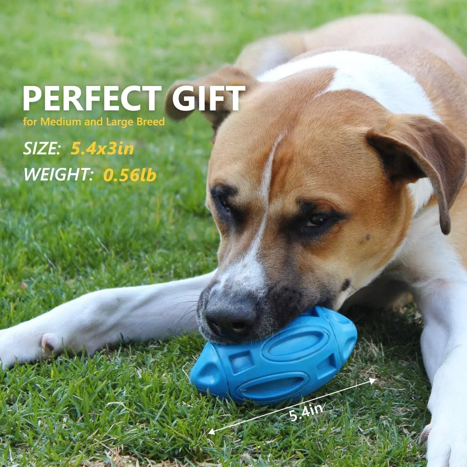 Durable natural rubber squeaky chew ball dog toy with surface grooves for medium and large breeds