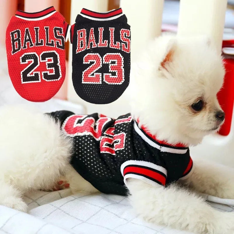 Casual dog sweatshirt vest in black polyester material on small breed