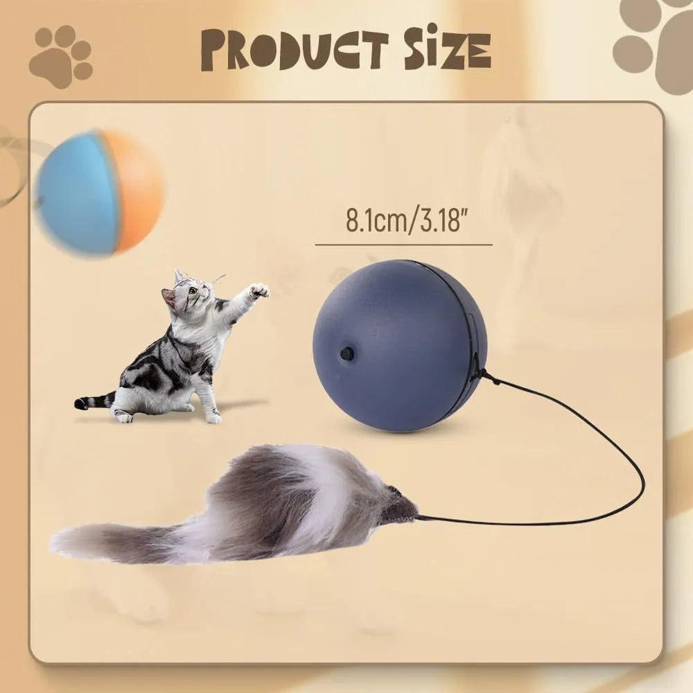 Automatic rolling interactive cat ball toy in grey and blue orange colour options