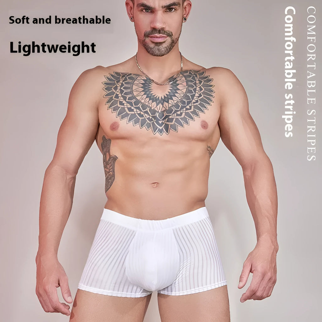 Men's striped transparent boxer briefs in black, white, and dark grey on a plain background.