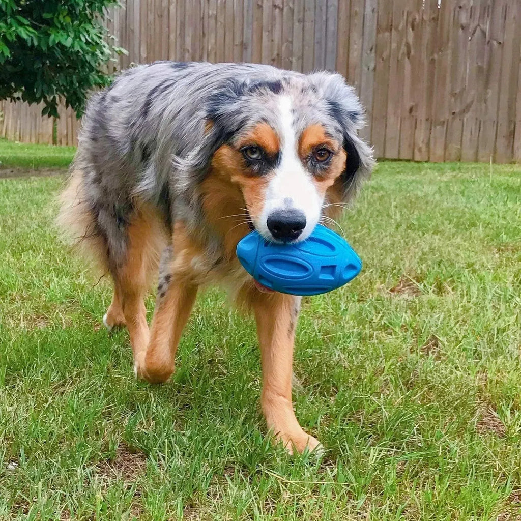 Durable natural rubber squeaky chew ball dog toy with surface grooves for medium and large breeds
