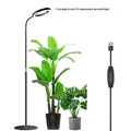 6-inch Angel Ring retractable floor plant grow light on a tall aluminium stand next to indoor houseplants.