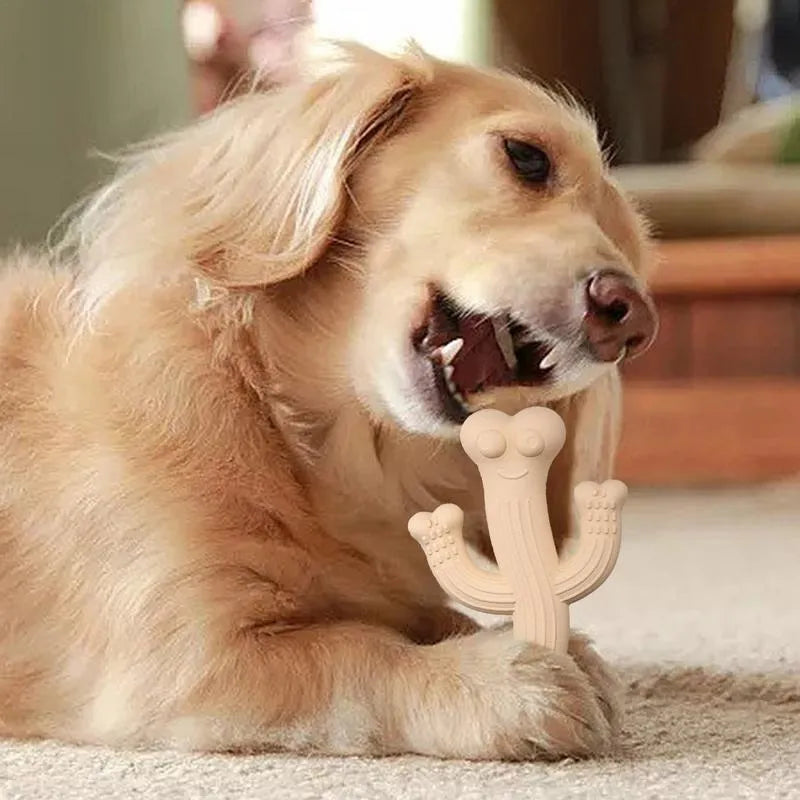 Cactus-shaped dog chew toy in beige, blue, or purple, made from bamboo fibre and rubber.