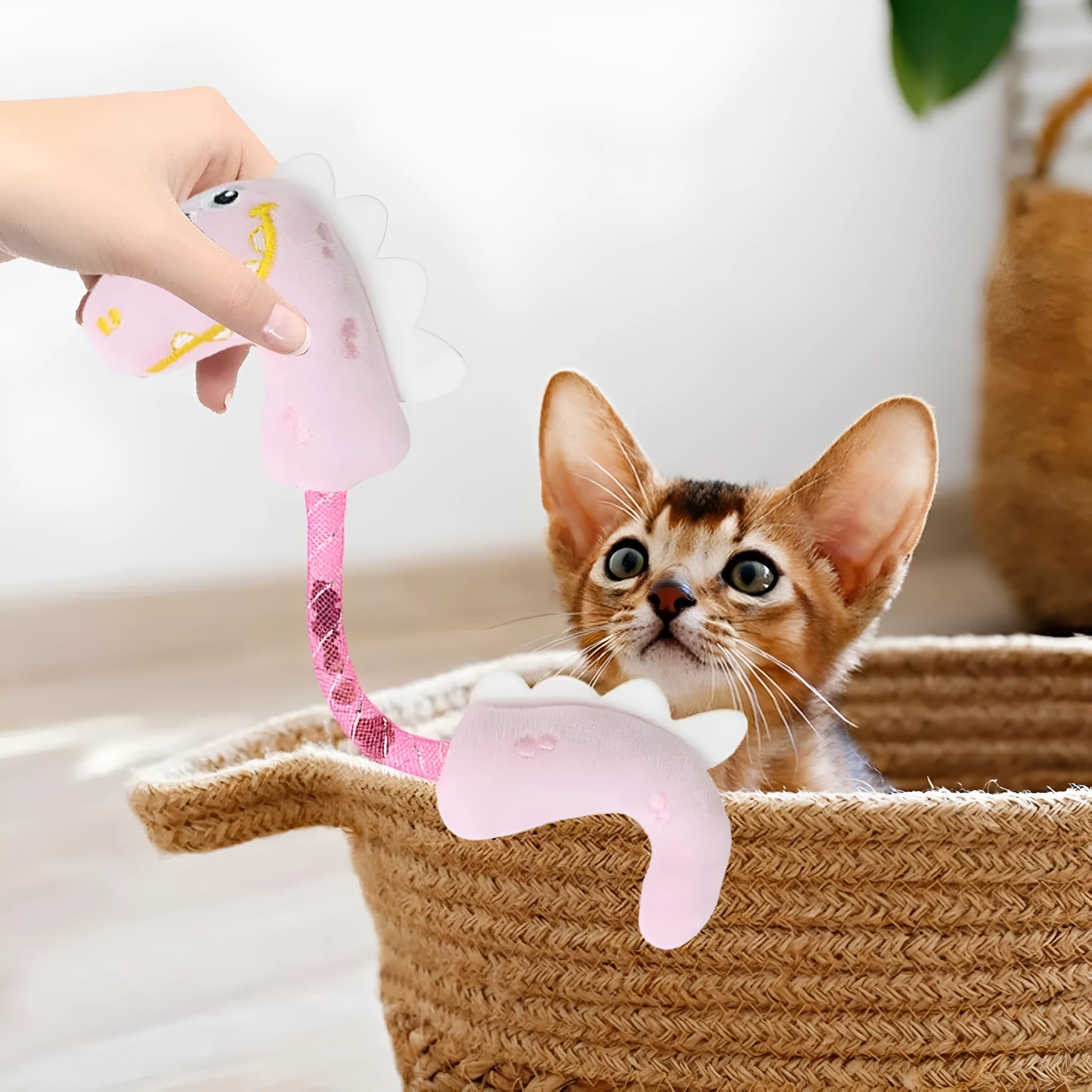 Four cat toys: chew toy, catnip rope, springs, and kicker toy in pink, purple, or yellow colours, each 23cm by 6cm.
