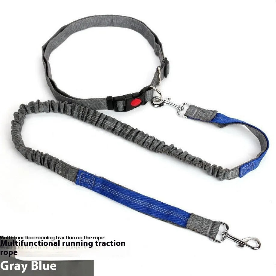 Grey and blue reflective elastic dog leash with nylon construction shown outdoors.