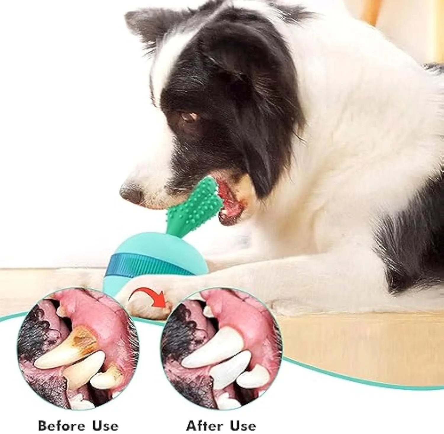 Blue durable rubber dog treat dispensing ball with tumbler design for interactive play