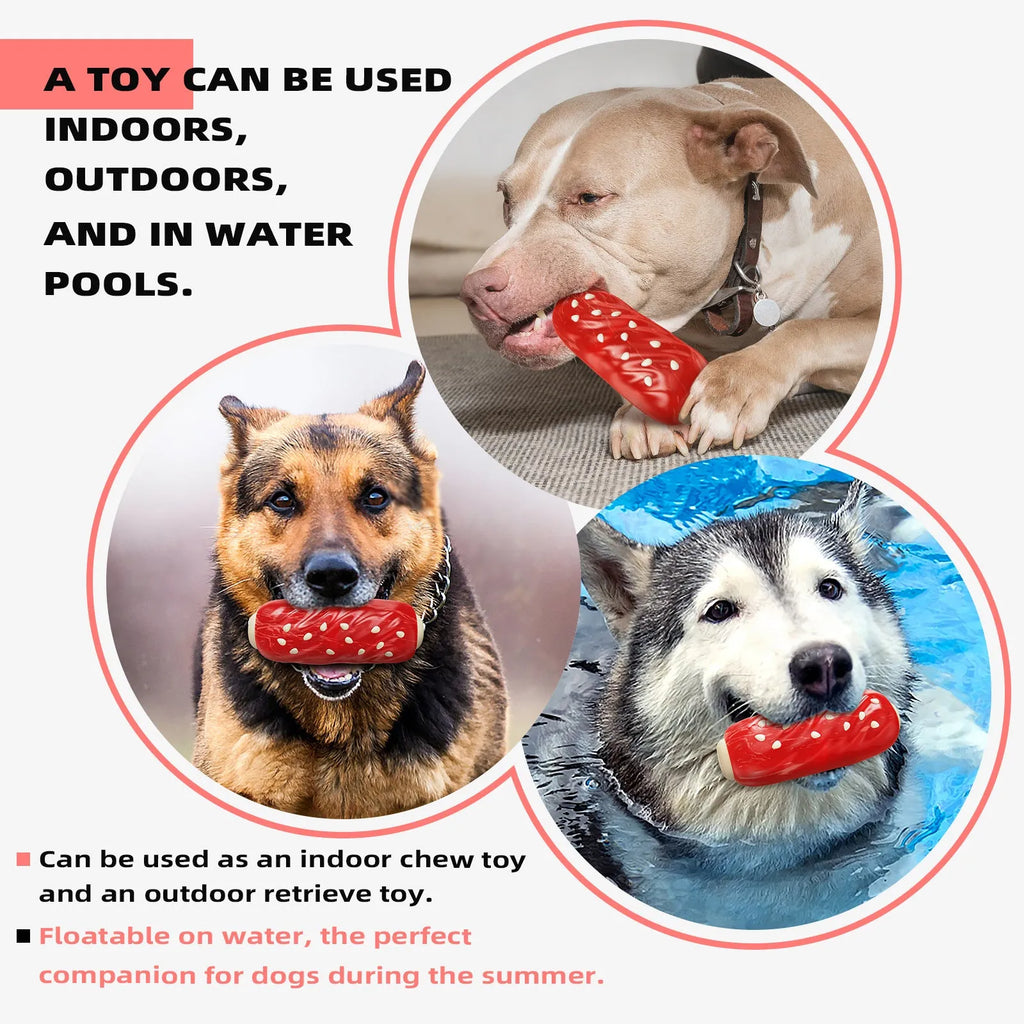 Primary colour plastic molar rod dog chew toy with treat holes.